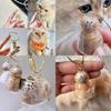 Cat Hair Collector Capsule Keychain With Acrylic Finish For Party And Holiday Gift