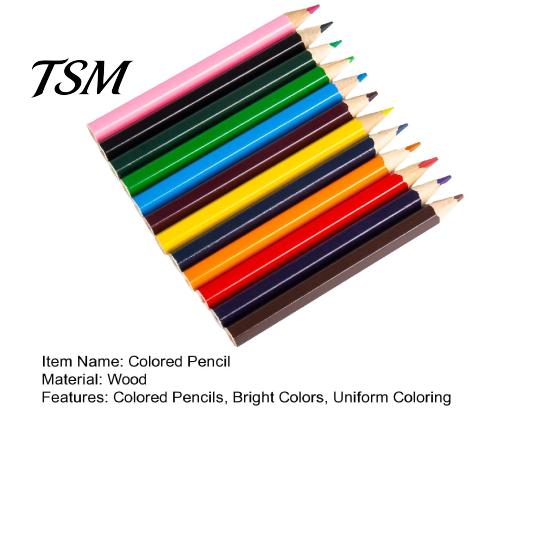 Creative Art Supplies for School 12PCS Colored Pencils Set, with Smooth Wood Barrel, Vibrant Colors Projects Painting Tools, Coloring Book Sketching