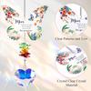 Mother's Day Present Gifts Butterfly Crystal Suncatcher Gifts for Mom Mummy from Daughter Son Ideal Mother Gifts On Her Birthday Valentines Christmas