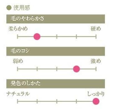 CHIKUHODO Кисть Кумано Chikuhodo Регулярная серия Кисть для губ Итачи Красная линия Кисть для макияжа (Косметическая кисточка) RR-L1