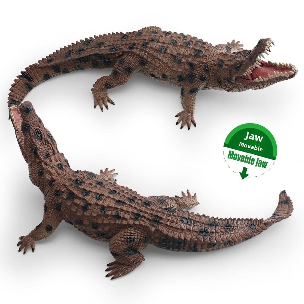 Static Pvc Crocodile Figurine For Childrens Educational Decor And Playroom Gift