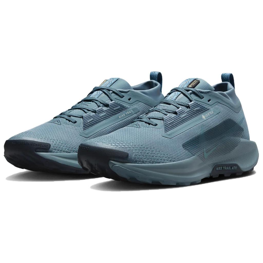 Nike React Pegasus Trail 5 Gore-Tex Дымчато-синий Светло-серебристый Броневой Na