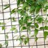 Искусственное растение Без ухода Долговечная свежесть Зеленая искусственная лиана Реалистичная текстура Гибкие лозы Искусственный клематис