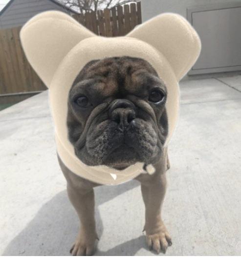 Dog Casual Warm Color Pet Cute Hat