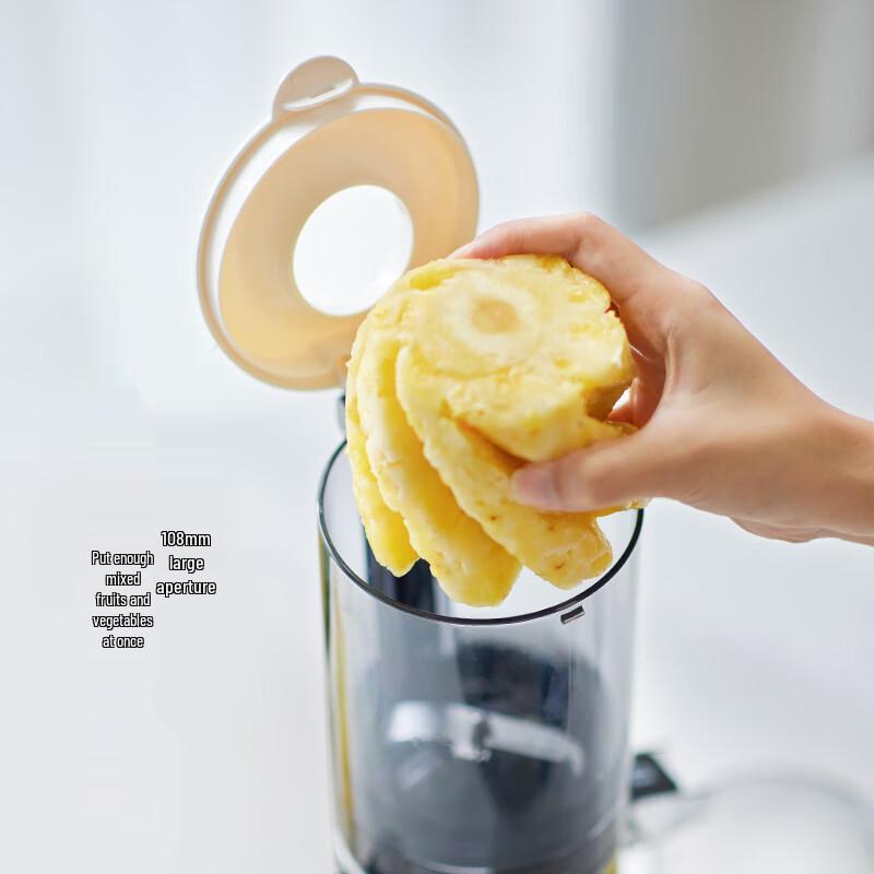 olayks Домашняя автоматическая соковыжималка холодного отжима OLK-LJ01