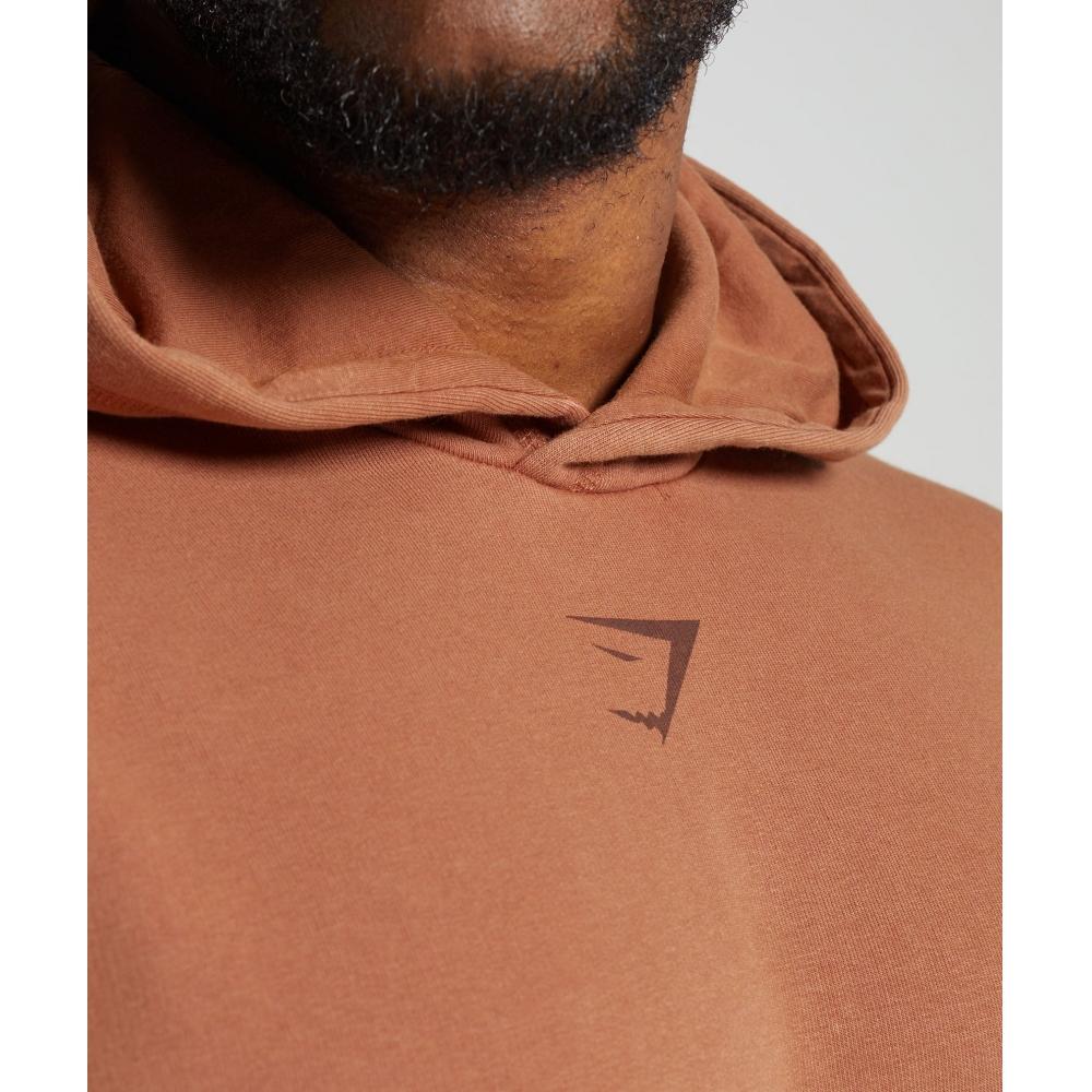 Gymshark Толстовка Heritage Washed Canyon Brown A4a7j Ncc0