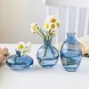 Lux Mini Colored Glass Vase Set for Hydroponic Flowers - Transparent Decorative Ornaments for Living Room