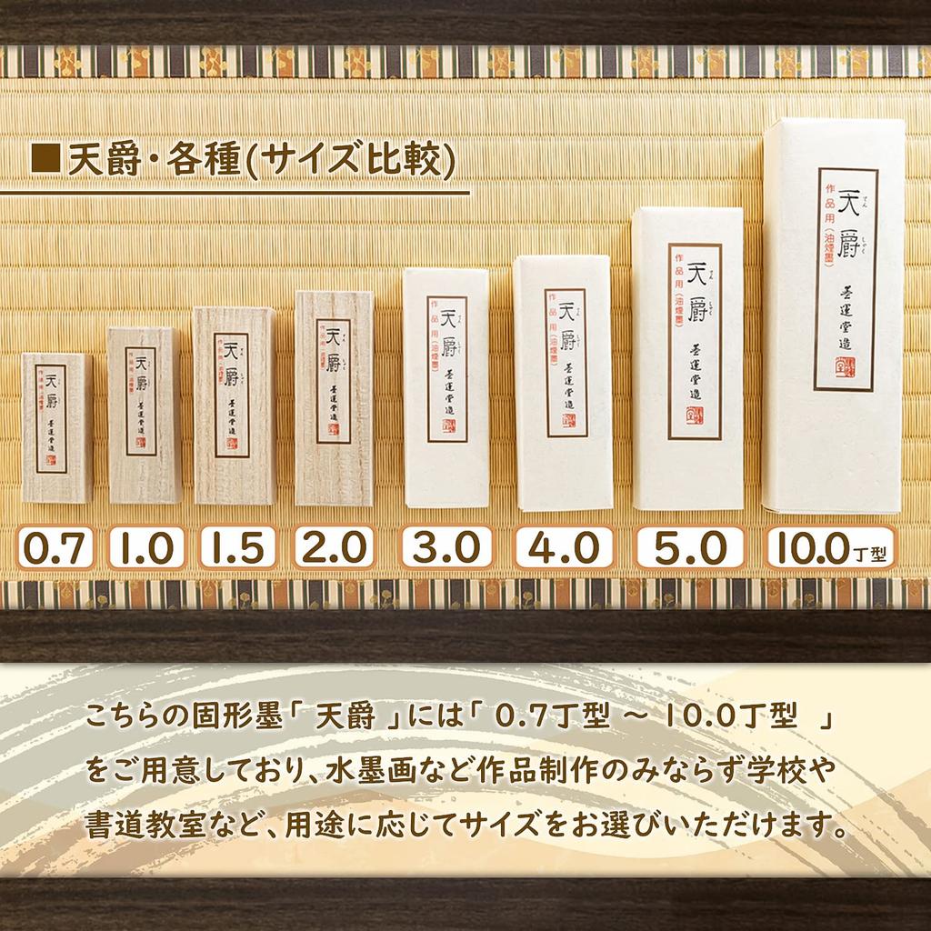 Bokuundo Solid Ink Tenshu for Kanji Works Piece Type 02203 1.0