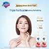 Safeguard Красный Гранат Пена для мытья тела