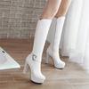 Women's High-heeled Boots, Sexy European and American Style Autumn and Winter New Waterproof Table Thick Heel Solid Color Large Size Medium Boots