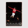 Robin Van Persie Football Player The Red Devils Retro Metal Poster Sign Club Wall Art Plaque Tin Sign Room Decoration Home Decor