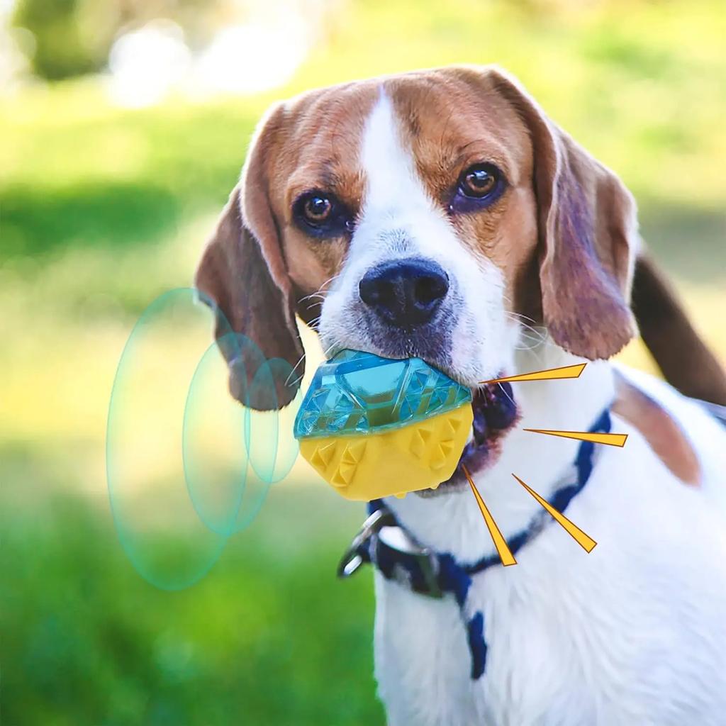 Летние охлаждающие игрушки для собак Игрушка для питомца Молярная кость, наполненная водой Охлаждающие игрушки для собак Замороженная молярная игрушка Устойчивые к укусам товары для питомцев