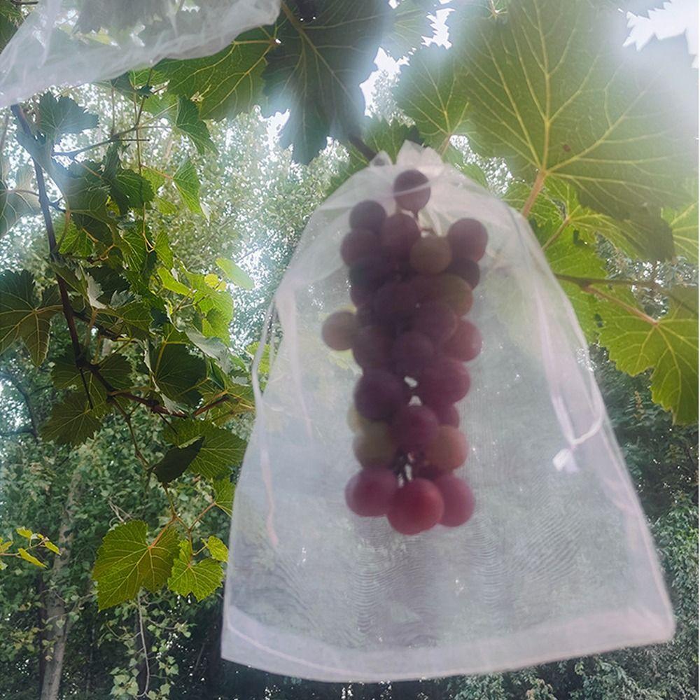 100pcs Breathable Grapes Fruit Grow Bags Mesh Grape Protection Cover Fruit Pockets Garden Tools