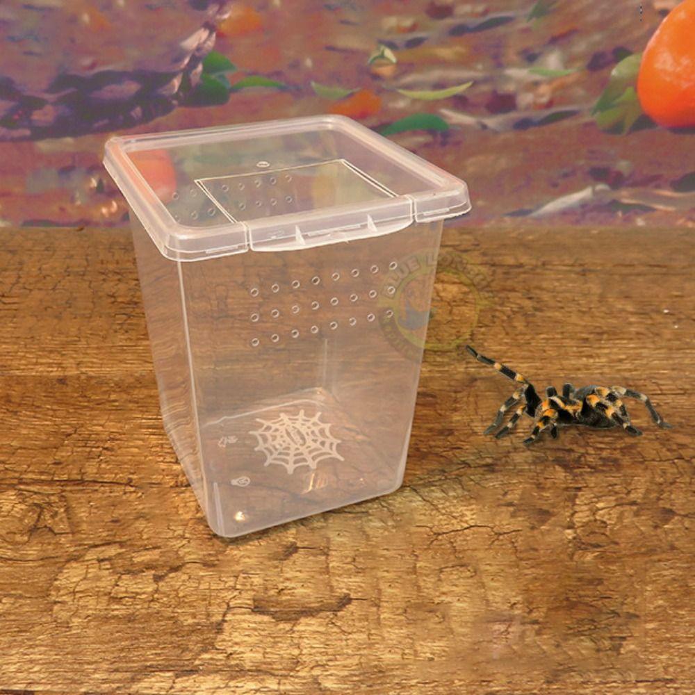 Reptile Accessories Transparent Reptile Habitat Hatching Tank Lizard Living Box Insect Feeding Box