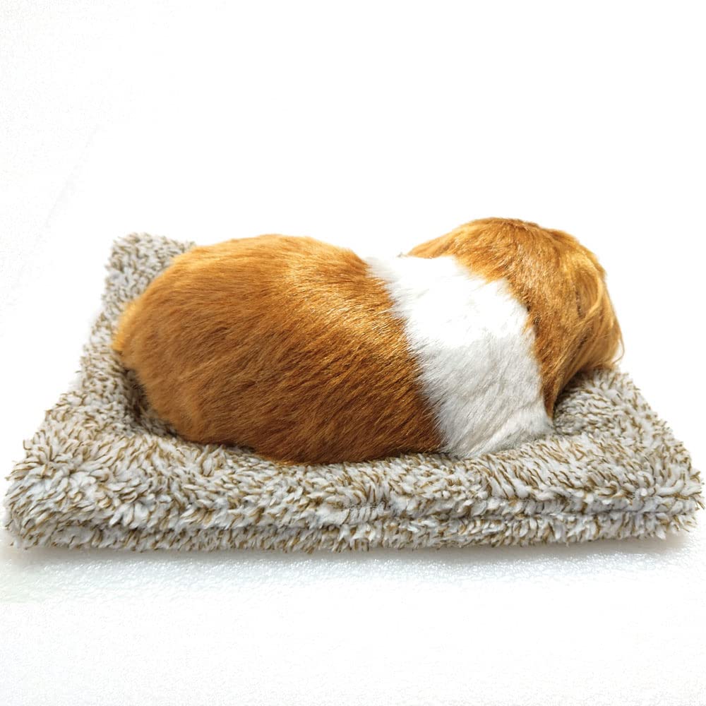 TATOTTE Stuffed Realistic Cute Sleeping Activated Charcoal Soothing Interior Dog, Figurine, Dog, Included, (Cavalier)