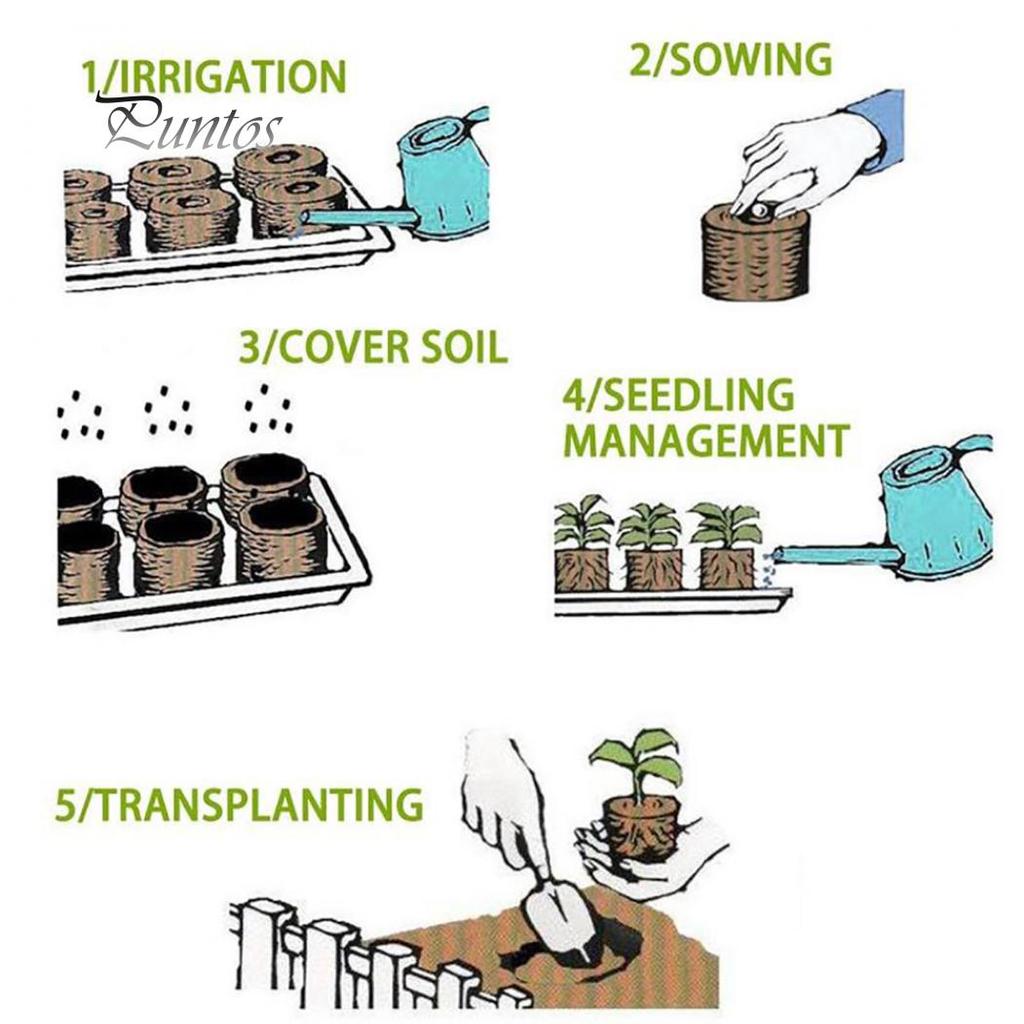 Торфяные блоки для выращивания рассады