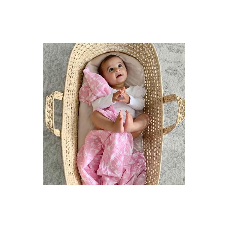 Aden + anais Monfleur Комплект из 2 пеленок, 120 x 120 см, Муслиновый хлопок, SWADABASWC20007J