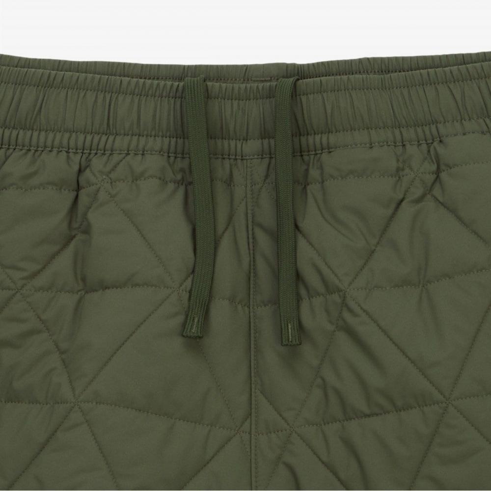 The North Face Мужские брюки Geodome V Темно-хаки Np6nq55b
