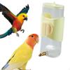 Automatic Bird Water Dispenser for Small Birds, 300ml Capacity