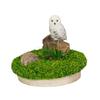 Мини-набор Woobia в виде снежного ястреба, сидящего на пне, 6 x 6 x 5 см, кукольная фигурка, украшение для сада, животное, птица H23377
