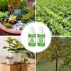 Liquid Fertilizer A and B Hydroponic Solution Garden Plant Food Plant Fertilizer For Flowers Vegetables Grass Nutrients