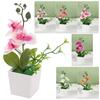 Multicolor Simulation Bonsai Plastic Faux Phalaenopsis Potted Party Wedding Supplies