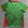 Cameroon Green Fan Edition Short Sleeve Football Jersey Men - Bamboo Fiber Performance Soccer Uniform