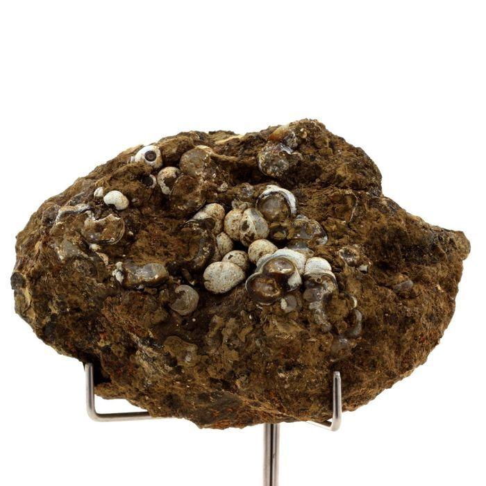 Pierres et Minéraux. Lussatite (Opale-CT). 618.8 ct. Puy de la Bourrière, Puy-de-Dôme, France. Ultra rare.