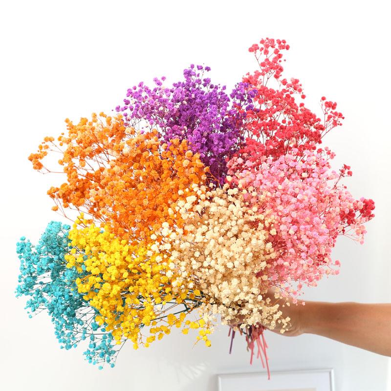 Yunnan Preserved Baby's Breath Bunch - Colorful DIY Home Decor Flower