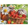 5D DIY Diamond Painting Strawberry Hedgehog Embroidery Full Display Cross Stitch