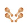 4 Small Wooden Salt Spoons, Solid Wood Condiment Spoons, Handmade Honey Teaspoons, for Condiments, Sugar, Coffee, Tea, Jam, Mustard, Ice Cream, Milk,