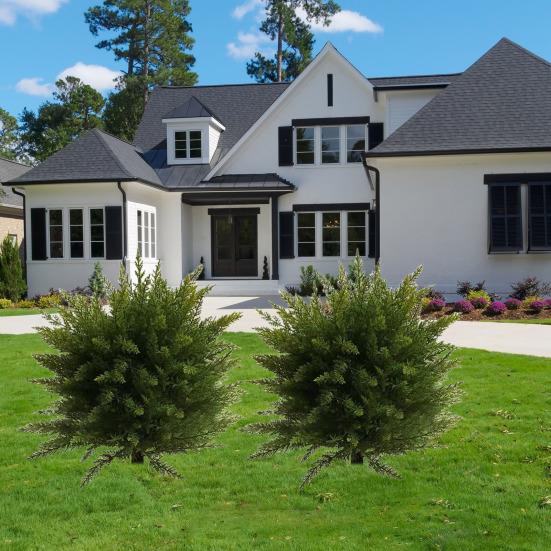 Искусственный кедровый шар для топиари Уличное искусственное кедровое дерево для топиари с шипом в земле Искусственные кедровые растения Вечнозеленые кустарники Кусты для сада перед крыльцом