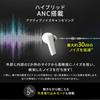 IRIS OHYAMA Wireless Earphones Bluetooth Active Noise Canceling ANC Earphones Up To 20 Hours of Continuous Playback IPX4 Waterproof Standard