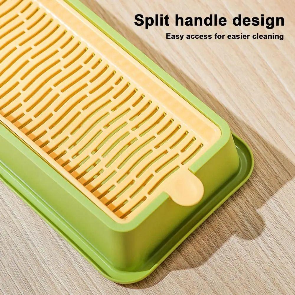 4 Styles Catgrass Planting Bowls Hydroponic Nursery Tray Cat Grass Growing Kit  Veterinary