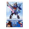 Sword Strike Gundam 1/100