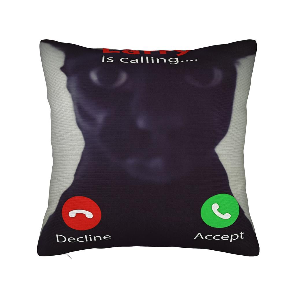Evil Larry Cat Dank Brainrot Meme Pillowcases Morden Pillow Case For Sofa Car Home Decor Comfy Pillow Cover