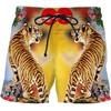 Men Shorts Summer 3D Printed Casual Ordinary Youth Beach Short Pants Spring Little Stretch Short Trousers