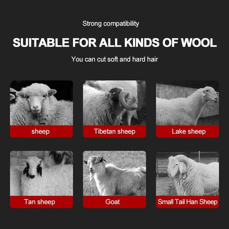 Машинка для стрижки шерсти 1600 Вт, 6 скоростей, удобная и быстрая, подходит для различных типов шерсти