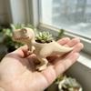 3D Printed Dinosaur Flowerpot Ornaments Mini Potted Planter Dinosaur Statue T-Rex Plant Pot  Gift