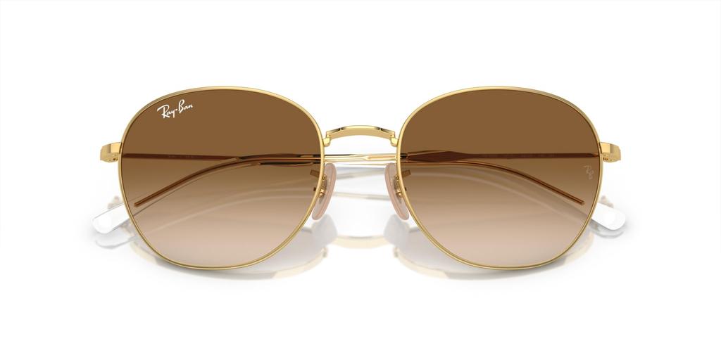 Sunglasses RB3809 ARISTA 55 [Ray-Ban]