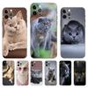 British Shorthair Cat Painted Phone Case for Iphone 5 2020se 6 6s 7 8 Plus X 10 XR XS 11 12 13 Mini Pro MAX Black Tpu Back Cover