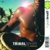CD TIMBALADA - Tribal Bahia / The Best Of Timbalad 0602498074329 Universal Music 2003 Brazil Latin Used