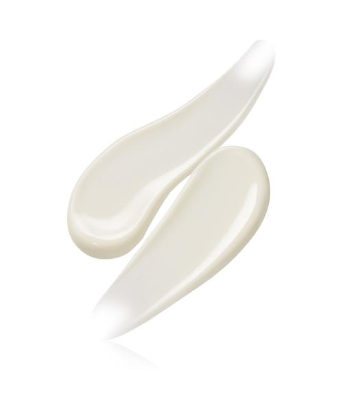 [ANESSA] Perfect UV Sunscreen Skincare Gel NB 40G