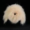 Synthetic Fiber Pet Grooming Mannequin Grooming Training Head  For Pet Grooming Students