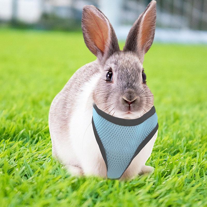 Small Cat Harness Breathable Mesh Soft Bunny Vest Small Pet Outfits Escape Proof Small Animal Harness For Walking Outdoor Hiking