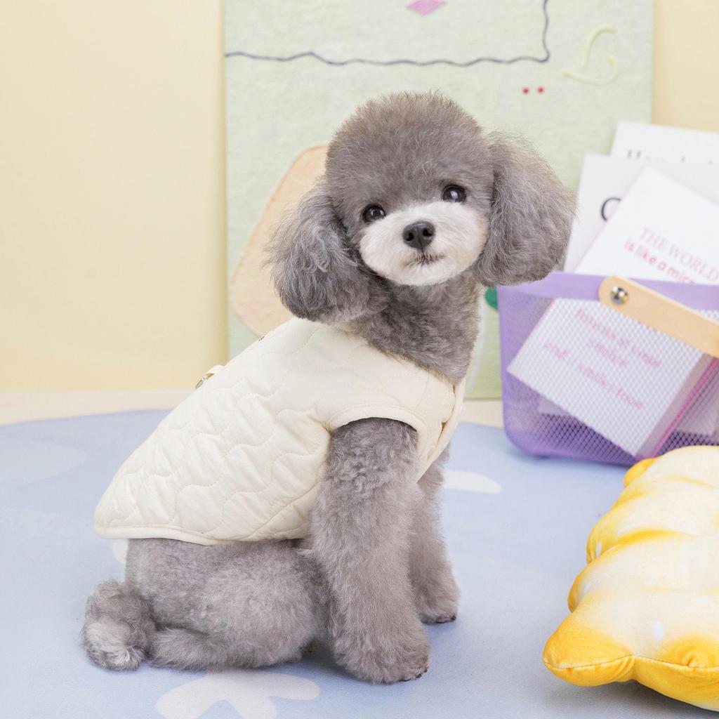 Осенне-зимний хлопковый жилет для маленьких собак и кошек