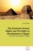 Книга The Economic Human Rights and The Right To Development In Egypt