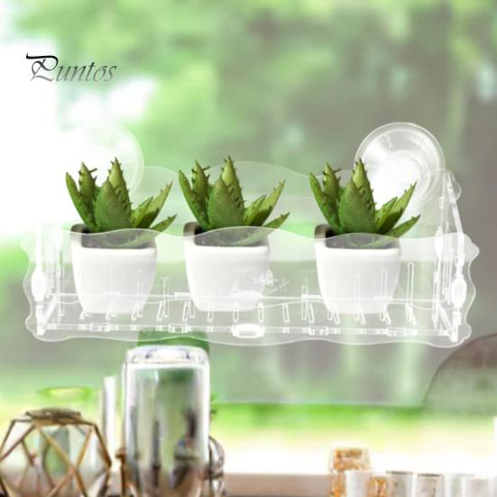Подставка для аквариумных растений, подвесной горшок для аквариума с присосками, прозрачный акриловый подставка для аквариумных растений, подставка для цветов