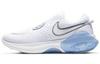 Женские кроссовки Nike Joyride Dual Run White Aura CD4363-103