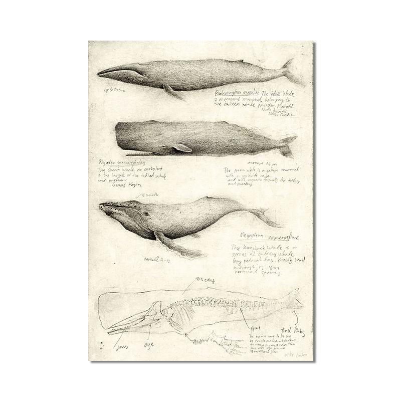 Винтажная лиса, бабочка, олень, насекомое, нота, ретро постер, грибы, холст, картина, настенная живопись, принт, настенные панно для декора гостиной